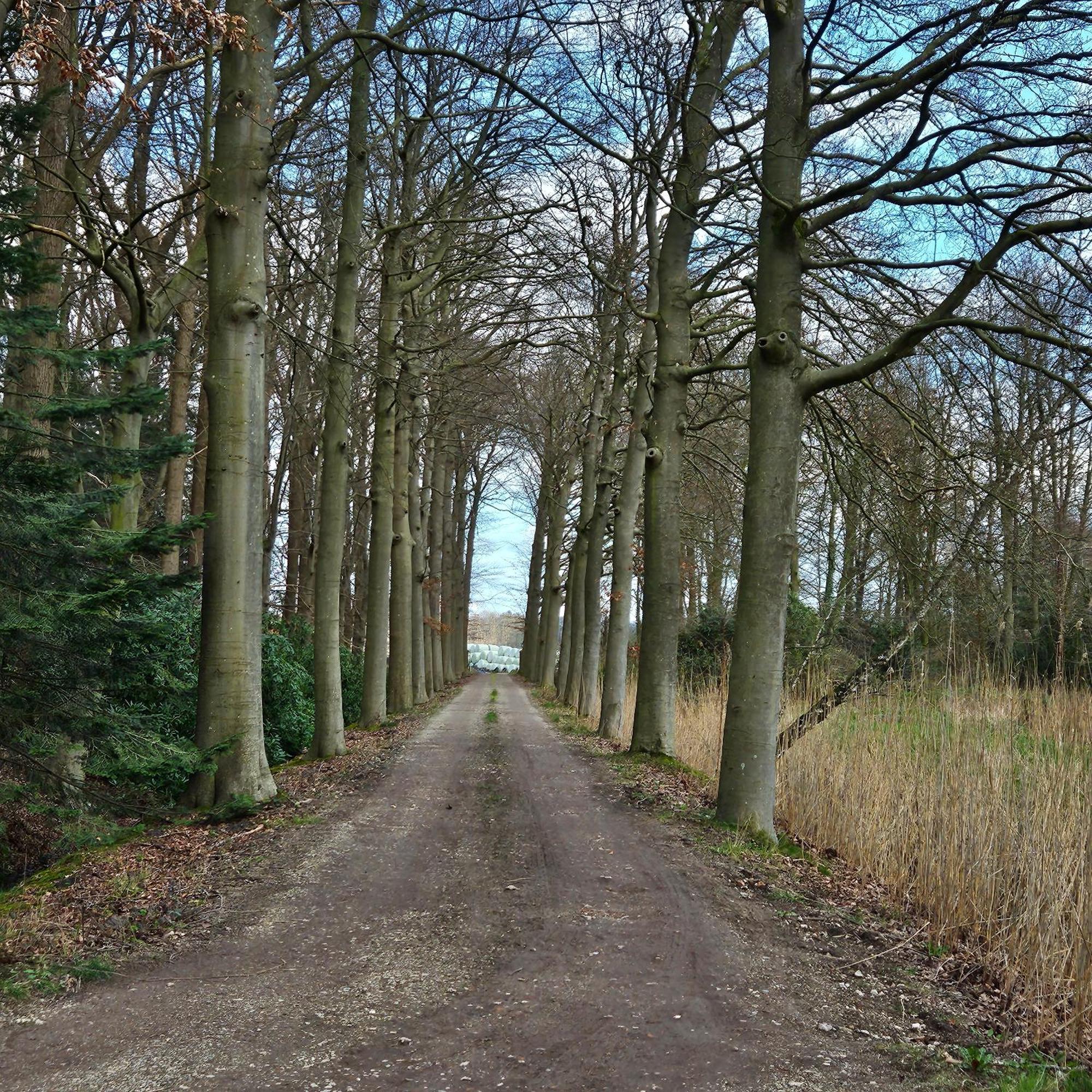 Holiday Home Countryside, Langbroek / דורן מראה חיצוני תמונה