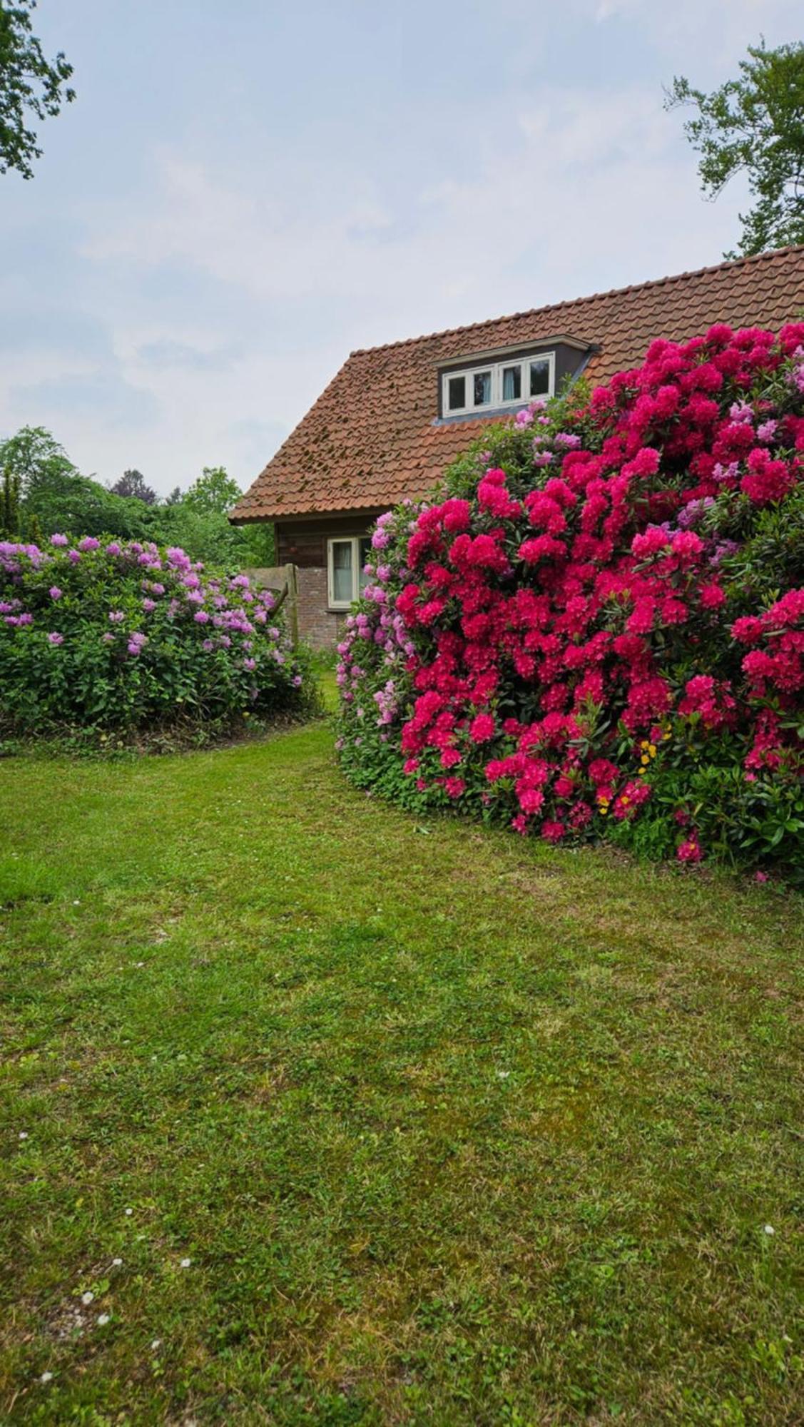 Holiday Home Countryside, Langbroek / דורן מראה חיצוני תמונה