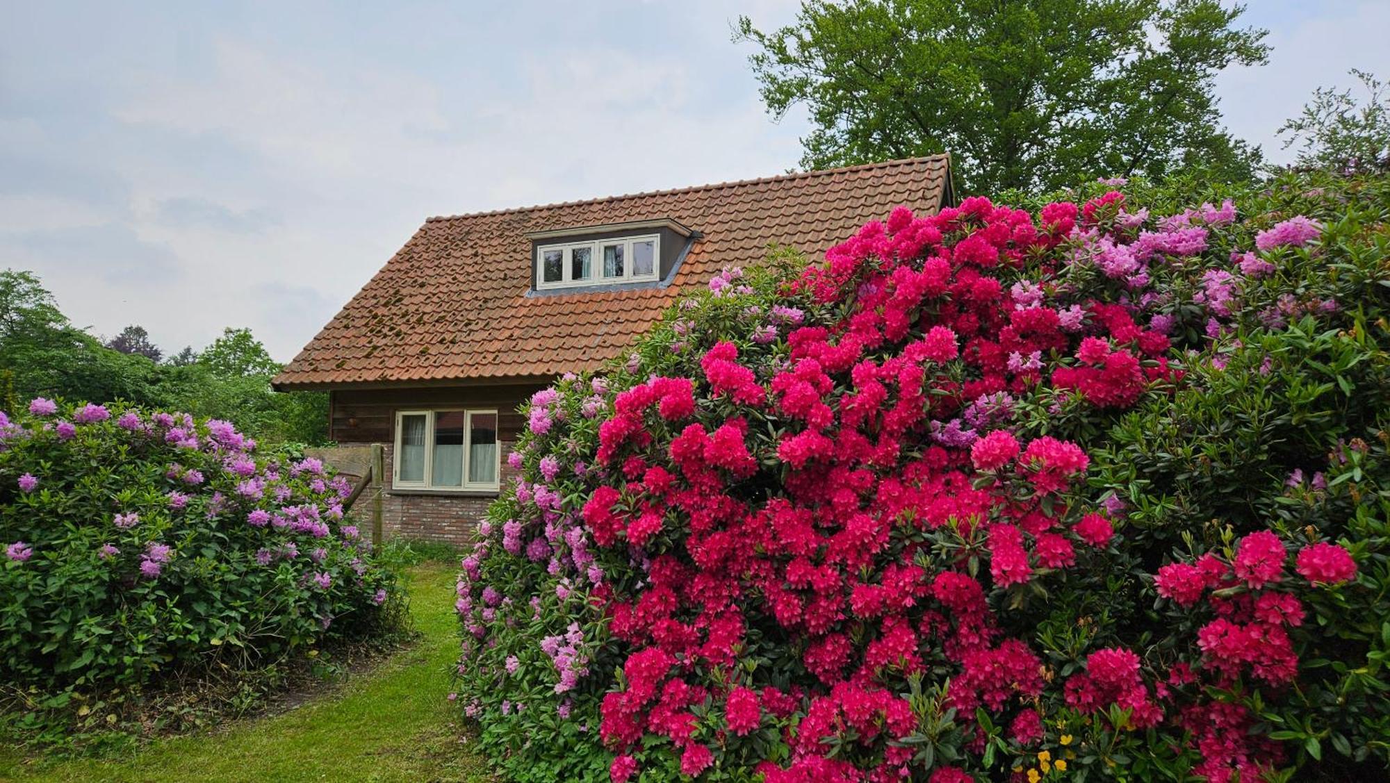 Holiday Home Countryside, Langbroek / דורן מראה חיצוני תמונה